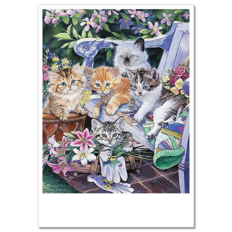 FUNNY CATs in Garden Harvest Flower Comic by Jenny Newland MODERN Postcard