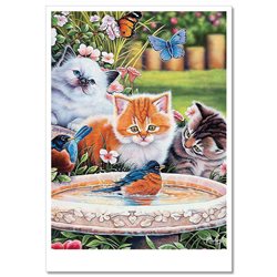 FUNNY CATS looking at bird Kittens Garden Comic by Jenny Newland MODERN Postcard