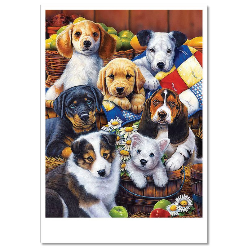 FUNNY DOGs in Garden Apple Basket Comic by Jenny Newland MODERN Postcard