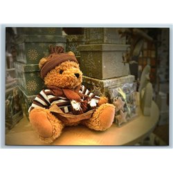 TEDDY Bear Toy and Xmas Christmas Gifts Russia Modern Photo Postcard