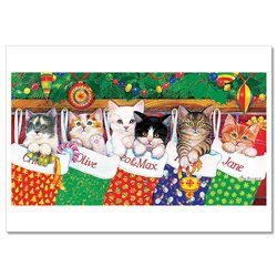 CAT Kitten in Christmas socks Funny Gifts Cute Russian Modern Postcard
