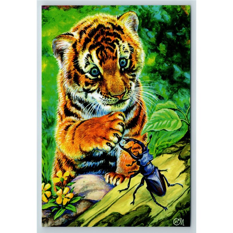 LITTLE TIGER and beetle Bug Acquaintance FUNNY Russia Modern Postcard