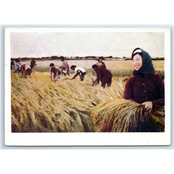 1960s VIETNAM WOMEN Good HARVEST Field Rye RARE Picture Postcard