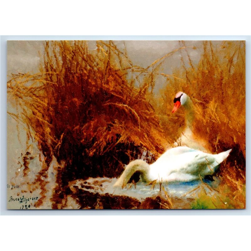 COUPLE OF SWANS Birds by Liljefors New Unposted Postcard