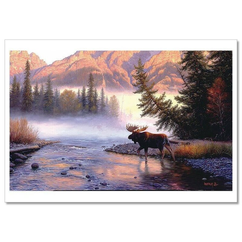 ART ~ ELK on a mountain river Forest by Mark Keathley Modern Postcard