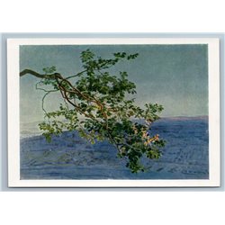 BRANCH Tree Sea SEASCAPE Landscape by Ivanov 1956 Old Vintage Postcard