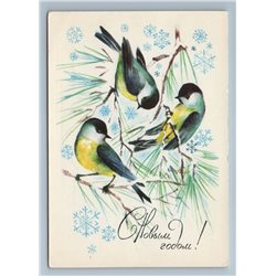 1970 TITMOUSE Birds on Pine Branch Happy New Year Soviet USSR Postcard