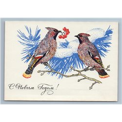1969 BIRDS on Snow Tree Brahcn RowanBerry Happy New Year Soviet USSR Postcard