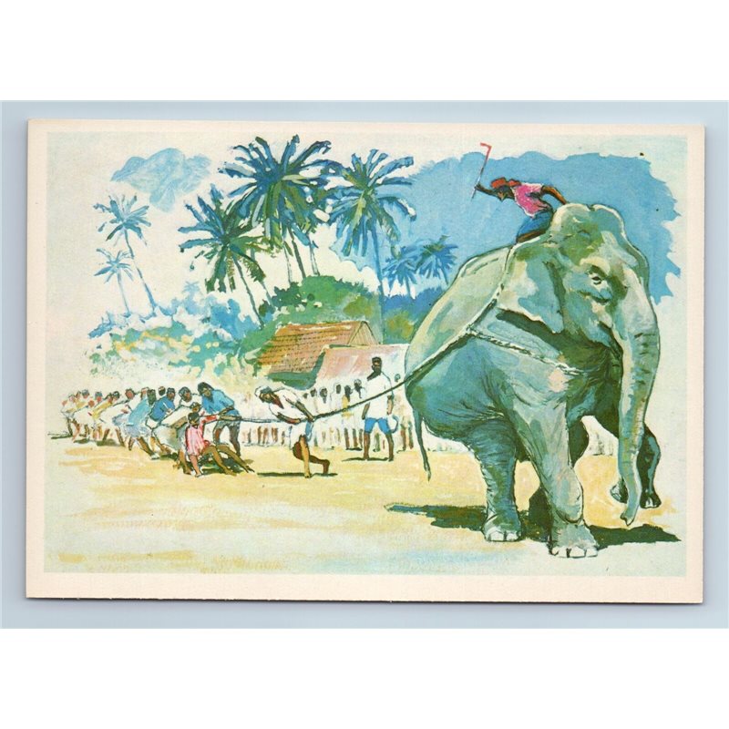 SPORT "Tug-of-war of elephant" Thailand 1981 Russian VTG postcard