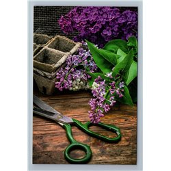 GARDEN WORKSHOP Scissors Seedlings Blooming lilac Russian New Postcard