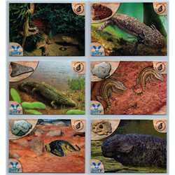 SET of 21 PREHISTORIC ANIMAL Paleoart Paleontology Vyatka museum Postcards 2014