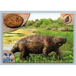 SET of 21 PREHISTORIC ANIMAL Paleoart Paleontology Vyatka museum Postcards 2014