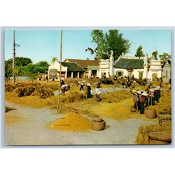 1970s VIETNAM BUMP HARVEST Vietnamese People Propaganda Rare Unposted Postcard