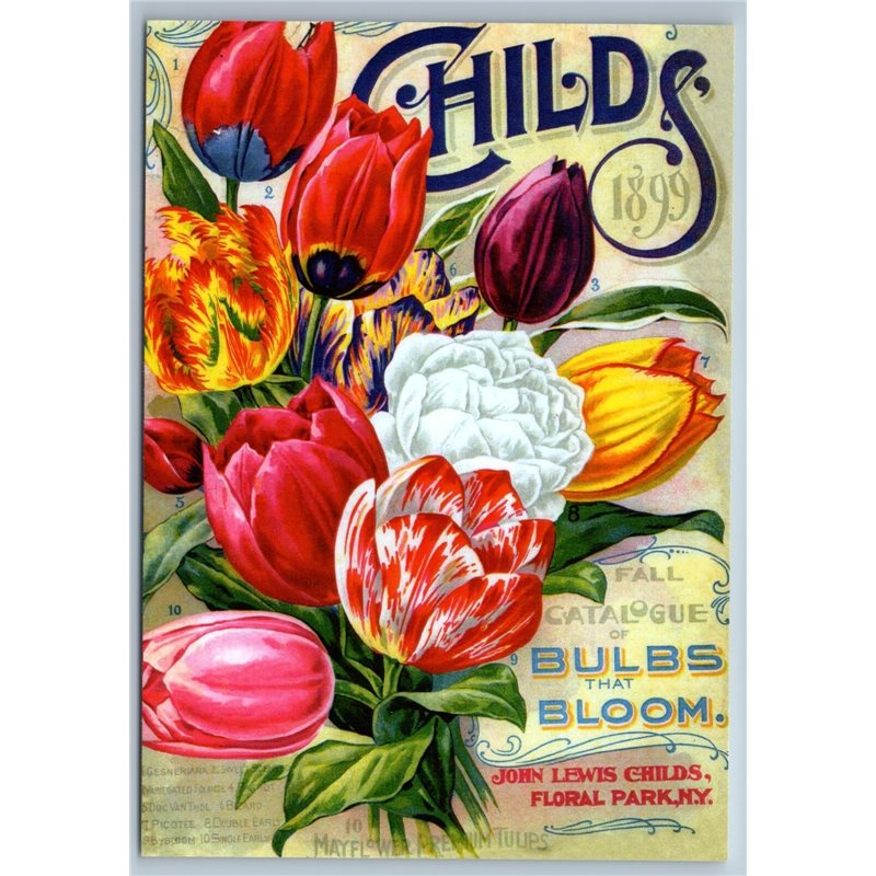 TULIPS FLOWERS Advertising Store Russian New Postcard
