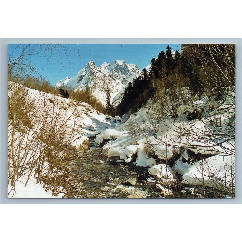 Dombay Russia River Dombay Elgen Mountain Glacier Birches Old Vintage Postcard