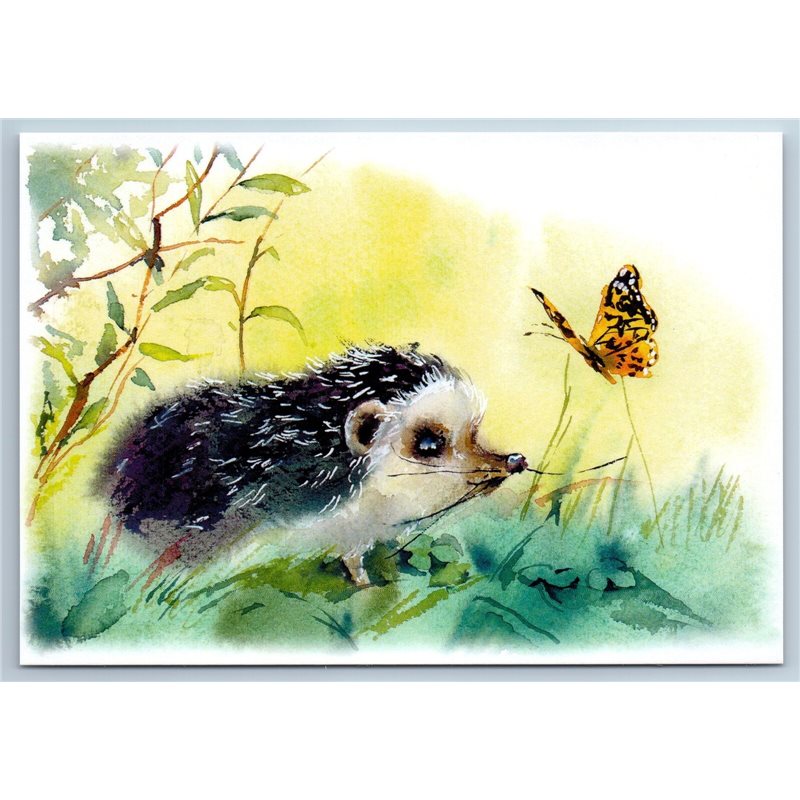 CUTE HEDGEHOG and Buttefly in Forest Wild Animal New Unposted Postcard