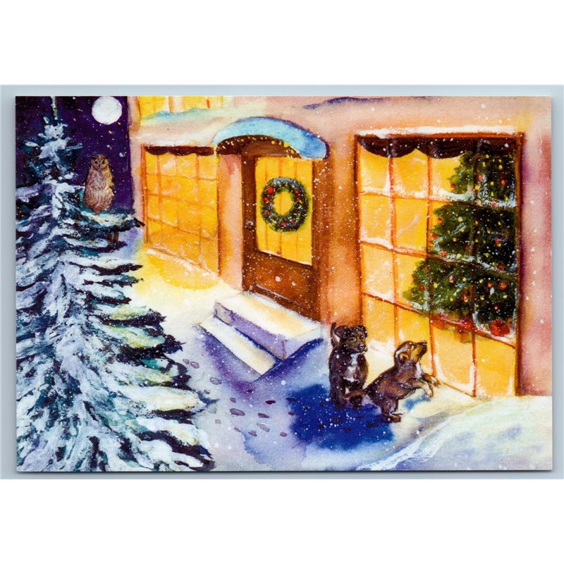 FUNNY PUPPY CHRISTMAS EVE near House Owl Snow Winter New Unposted Postcard