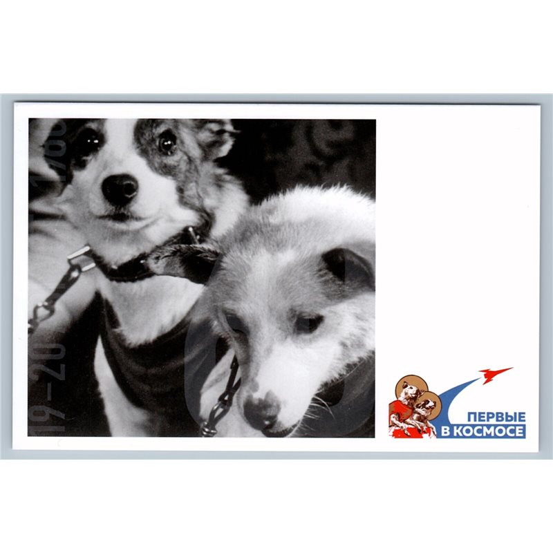 BELKA and STRELKA Space Dogs USSR Soviet First in Cosmos Space NEW Postcard