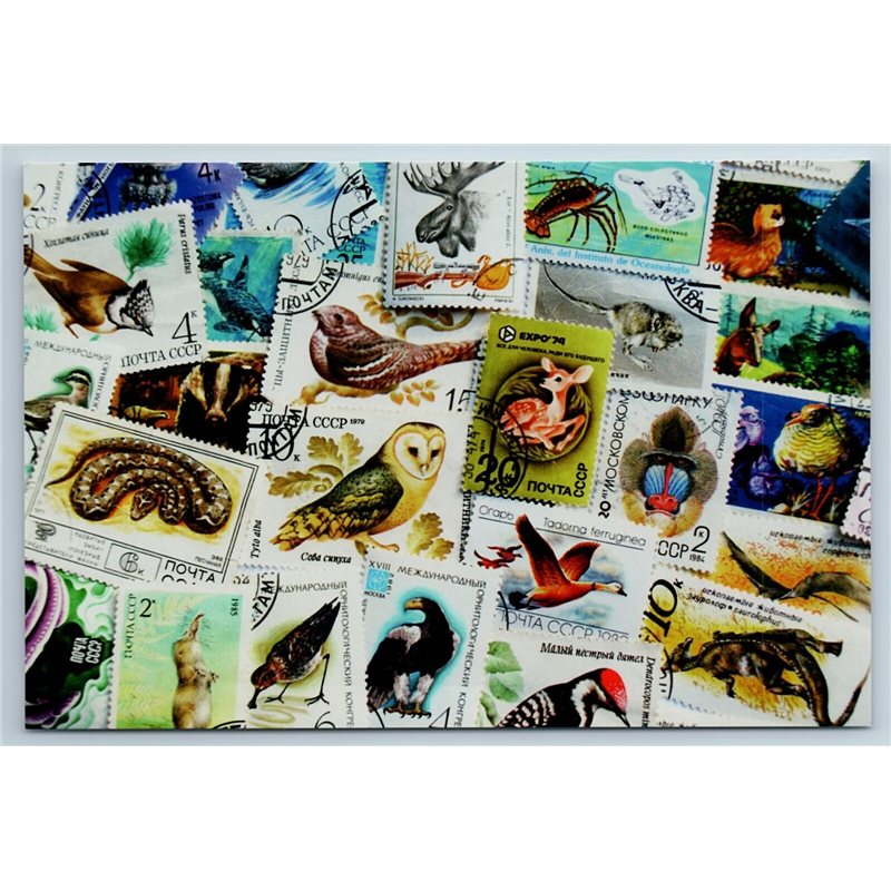 WILD ANIMAL STAMPS Postcard Eagle Owl Deer Snake Dinosaur New Unposted Postcard