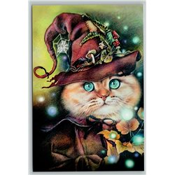 WITCH RED CAT in Hat Forest Magic Fantasy Dreams Unusual New Unposted Postcard