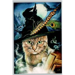 WISE CAT HALLOWEEN SCIENTIST Raven BOOK Unusual Fantasy New Unposted Postcard