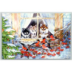 HUSKY DOGS Puppy and BULLFINCHES Birds Window Snow Winter New Unposted Postcard