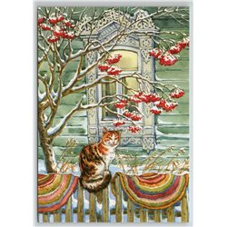 CAT fence Snow Winter Wooden House Rowan Garden by Fedorova Russian New Postcard