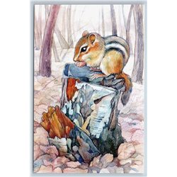 Chipmunk on a stump in the forest Russian Unposted Modern Postcard