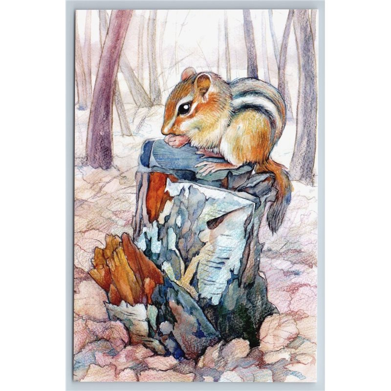 Chipmunk on a stump in the forest Russian Unposted Modern Postcard