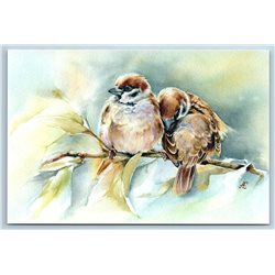 SPARROWS Birds on Tree Branch in Forest by Statnyh Russian New Postcard