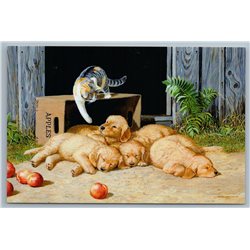 CAT n PUPPIES Dog on Farm Apples Wakeup n Play by Weirs New Unposted Postcard