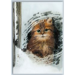 CUTE CAT Kitten at Window Frosty Day Snow Winter Russian Unposted Postcard