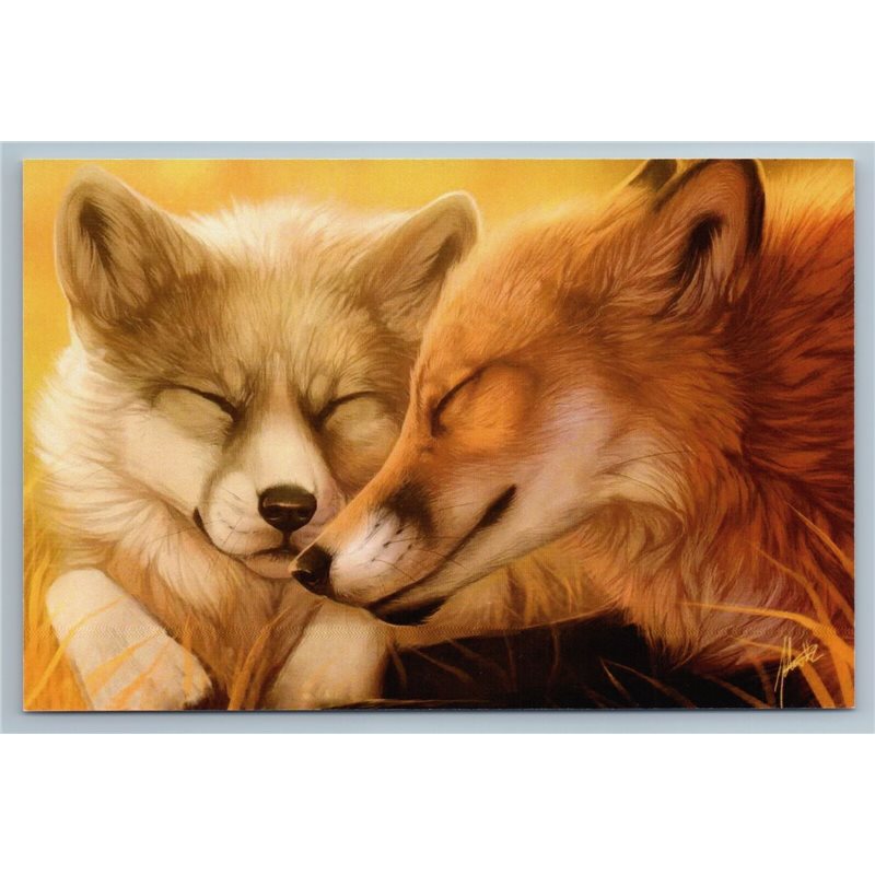 RED FOX n GREY WOLF Together Friends Wild Animal Russian Unposted Postcard
