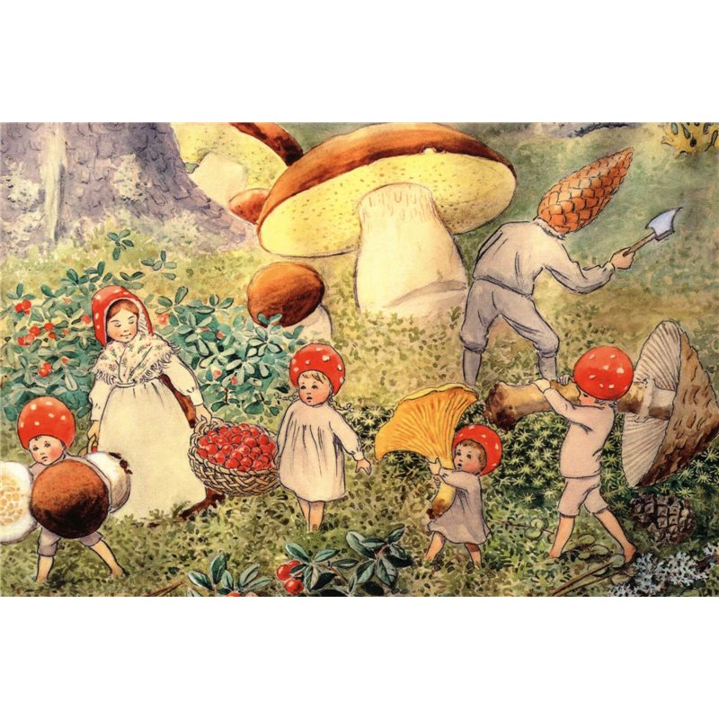 Children of the Forest gnomes Fantasy by Elsa Beskow Russian Modern postcard