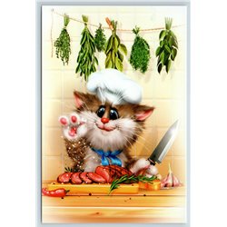 RED CAT COOK in Kitchen Cooking Funny Comic Russia Modern Postcard