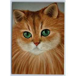 REDHEAD CAT with Green Eyes by Wock New Unposted Postcard