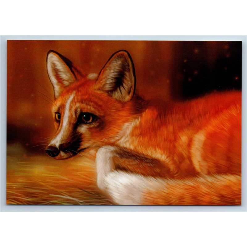 RED FOX Wild Animal New Unposted Postcard