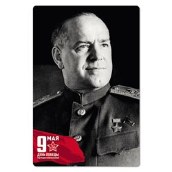 WWII Georgy Zhukov Soviet Red Army General USSR New Unposted Postcard