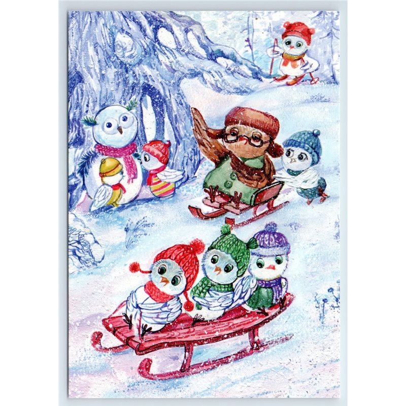 FUNNY OWLS on sledge Winter Fun in Forest Birds New Unposted Postcard