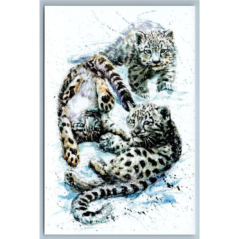 SNOW LEOPARDS play kittens Wild Animal Big Cat by Kalinin New Unposted Postcard