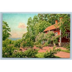 In The Garden Summer Time Cottage House by Johan Krouthen New Unposted Postcard