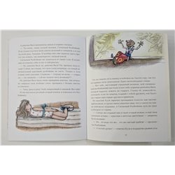 CALICO ROBBER Ситцевый разбойник BRAVE GIRL Fantasy Kids RUSSIAN Children Book