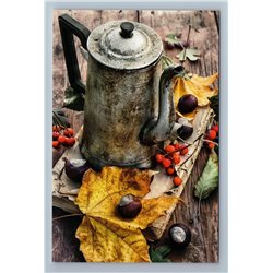 AUTUMN Fall COFFEE JUG Time Nuts Leaf Still Life Russian New Postcard