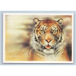 1990 SIBERIAN TIGER Panthera tigris Red List Wild Animal by Isakov USSR Postcard