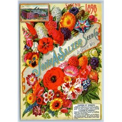 FLOWERS of PARADISE Advertising of Seed Store Russian New Postcard