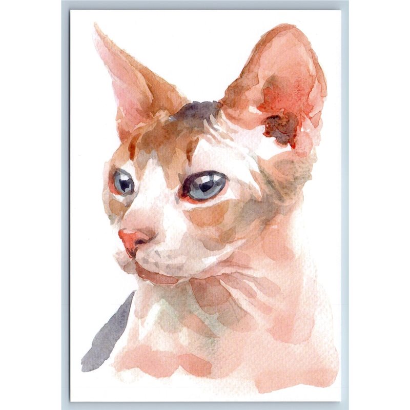 SPHYNX CAT Unusual Water colour by  Blueten New Unposted Postcard