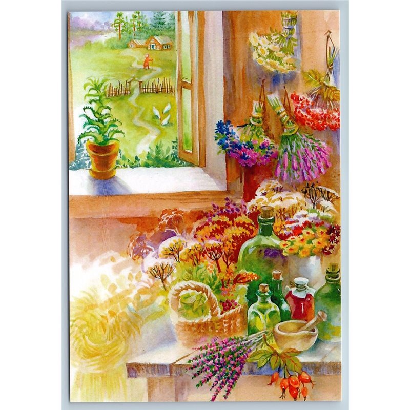 SUMMER HARVEST Flowers Herbage Homemade Window New Unposted Postcard