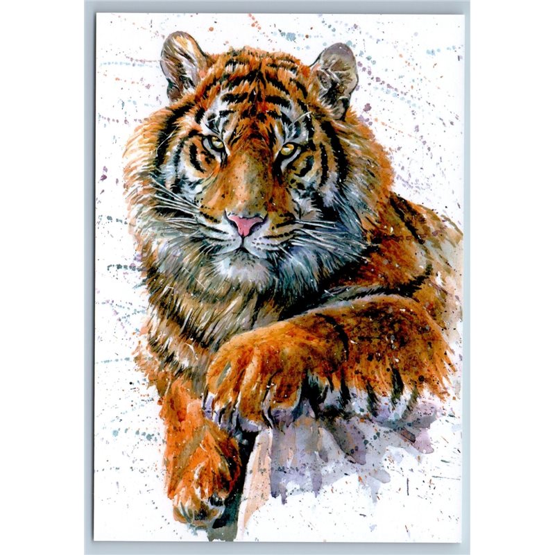 TIGER Big Cat Wild Animal by Kalinin New Unposted Postcard