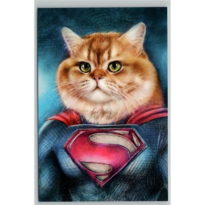 CAT as SUPEMAN Supercat Avenger Hero Marvel's Motives ART New Unposted Postcard 