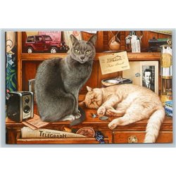 GREY and PERSIAN CAT library BOOK Photo Vintage by Tristram Russian NEW Postcard